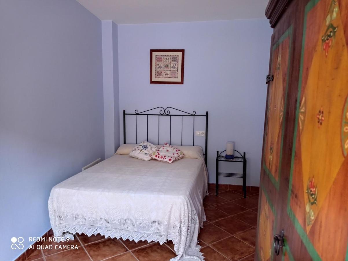 Casa Rural Alicia Villafranca de Ebro Екстериор снимка