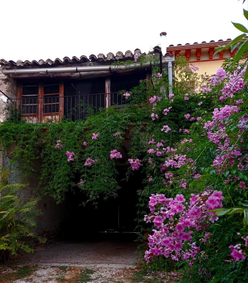 Casa Rural Alicia Villafranca de Ebro Екстериор снимка