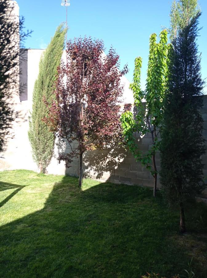 Casa Rural Alicia Villafranca de Ebro Екстериор снимка