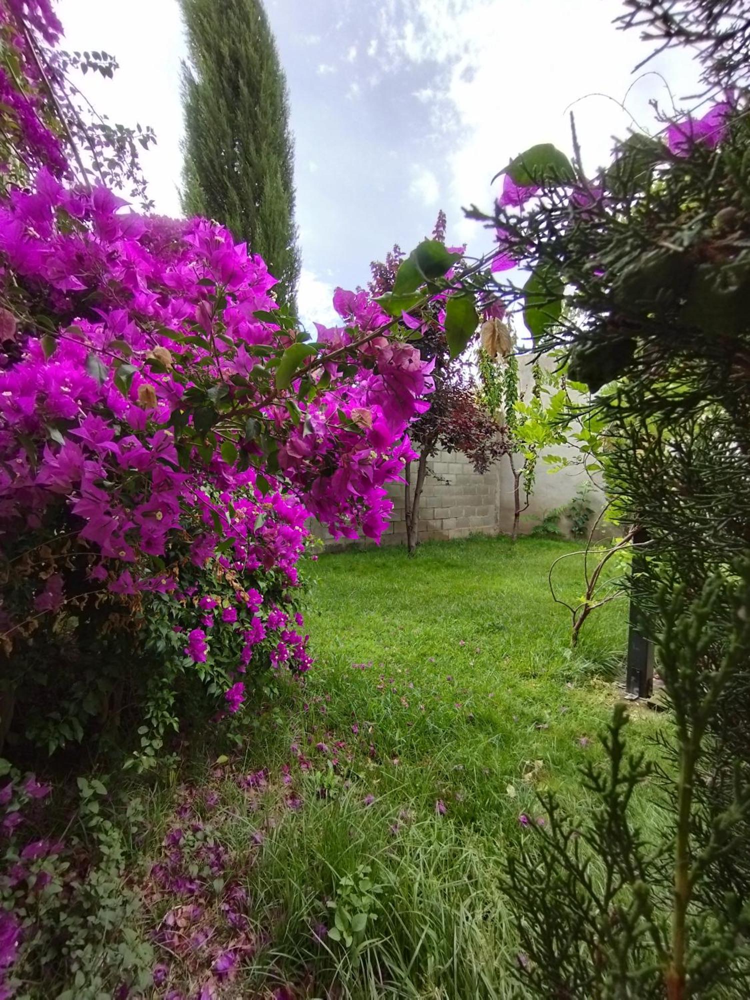 Casa Rural Alicia Villafranca de Ebro Екстериор снимка